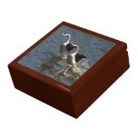 Grebes' Water Running Gift Box