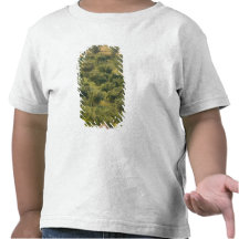GREECE, Ionian Islands, KEFALONIA, Havriata: T Shirt