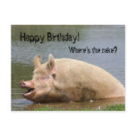 Greedy pig Birthday postcards