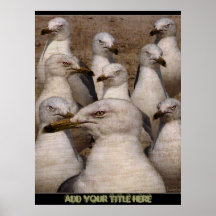 Greedy Scavaging Seagulls - Poster/Print