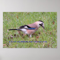 Greek Bird Proverb Posters
