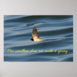 Greek Bird Proverb posters