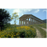 Greek Temple, Segesta, Sicily, Italy photo sculptures