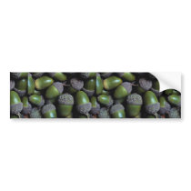 Green Acorn nuts Bumper Stickers
