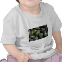 Green Acorn nuts Tee Shirt