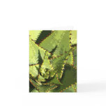 Green agave card