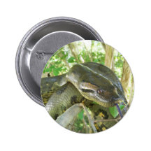 Green Anaconda Pinback Buttons