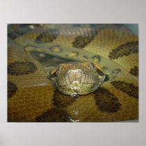 Green Anaconda Print