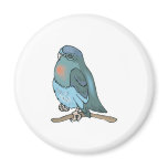 green and blue budgie bird refrigerator magnet