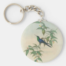 Green and Blue Gould Hummingbird Keychains