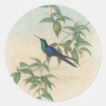 Green and Blue Gould Hummingbird Round Sticker