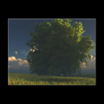 Green and Gold Postcard
