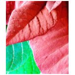 Green And Red Leaves t-shirts