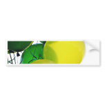 Green and Yellow Balloons bumper stickers