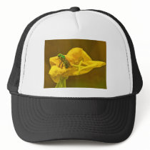 Green and Yellow Hat