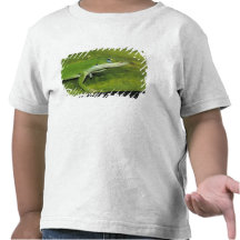 Green Anole, Anolis carolinensis, adult on palm T-shirts