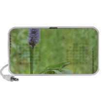 Green Anole Lizard with Pickeral Rush Travel Speakers