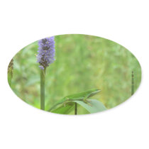 Green Anole Lizard with Pickeral Rush
