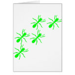 green ant trail greeting cards