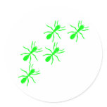 green ant trail sticker