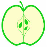 Green Apple Half. Vector illustration. Custom photo sculptures