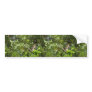 Green-backed heron on branch bumper sticker