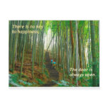 Green Bamboo Forest Postcard