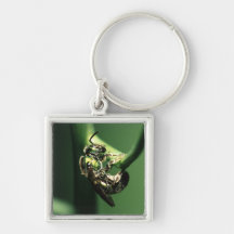 green bee key chain