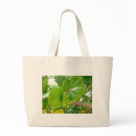 Green Berries bags