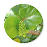 Green Berries magnets