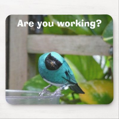 green bird mouse mats by bkang22