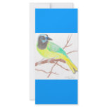 Green Bird Rack Cards rack cards
