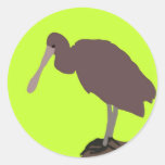 Green Bird Sticker