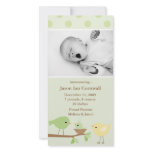 Green Birds Birth Announcement
