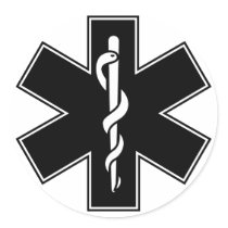 Green Black Grey Purple  Nurse EMS Star of Life