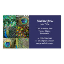 Green Blue Peacock photo collage Business Card Template
