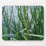 Green Broad-Fruited Bur-Reed (Sparganium Eurycarpu mousepads