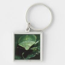 green bug keychains