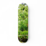 Green Bush Skate Boards