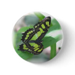 Green Butterfly Circular Pin
