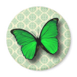 Green Butterfly on Vintage Pattern Fridge Magnets