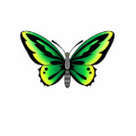 green butterfly tattoo design t-shirts