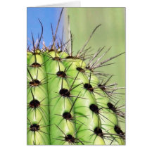 Green Cactus Thorns Greeting Cards
