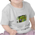 Green Cheek Conure Baby T-Shirt