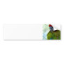 Green Cheek Conure Bumper Sticker