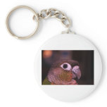 Green Cheek Conure keychains