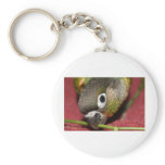 Green Cheek Conure keychains