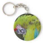 Green Cheek Conure Keychain