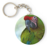 Green Cheek Conure Keychain