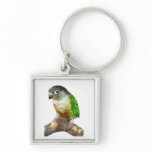 Green Cheek Conure keychains